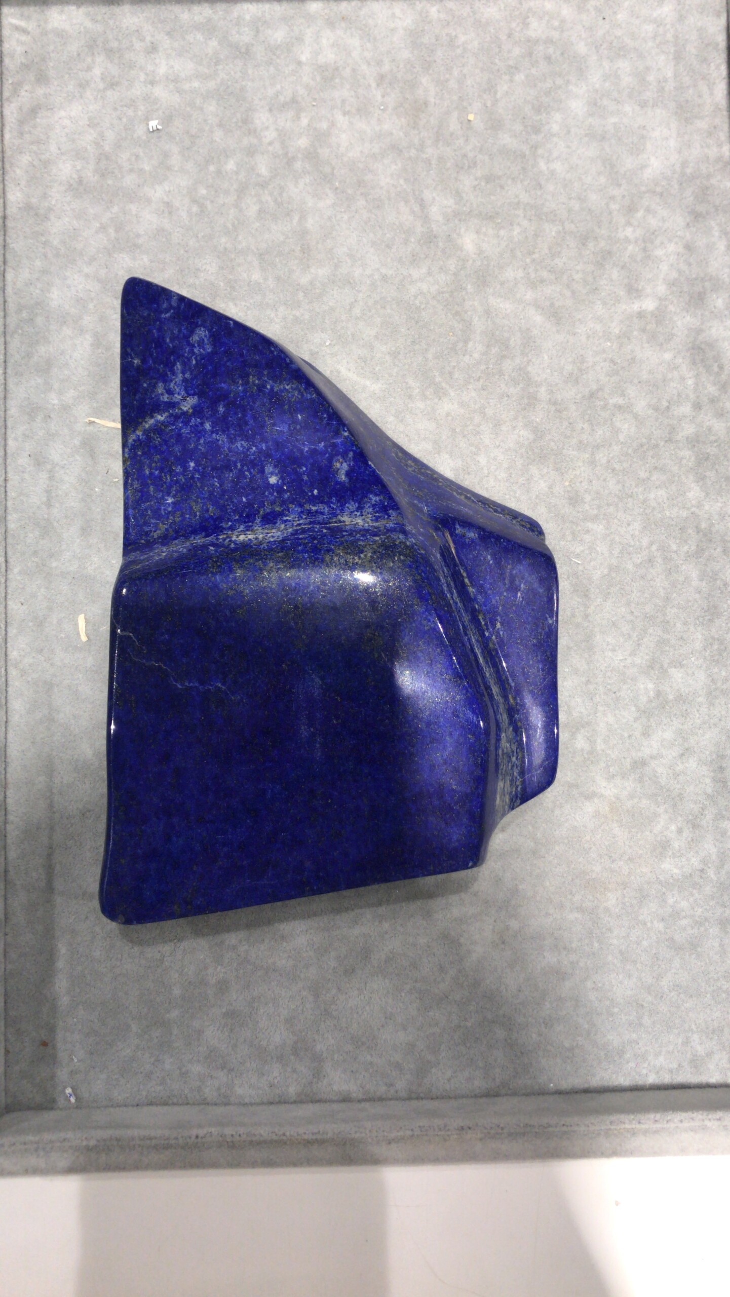 1C40F61B 0354 4364 9B03 D2FC91D431FD scaled