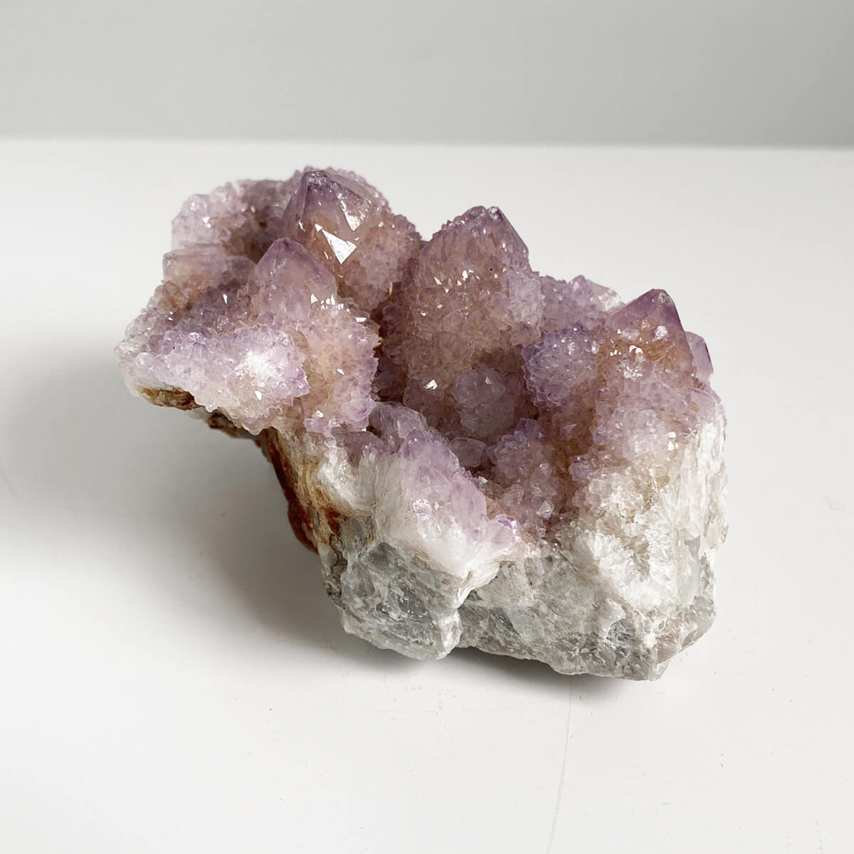 amatista-cactus-grande-2