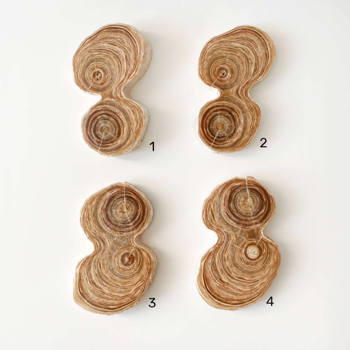 Placa de aragonito veteado doble