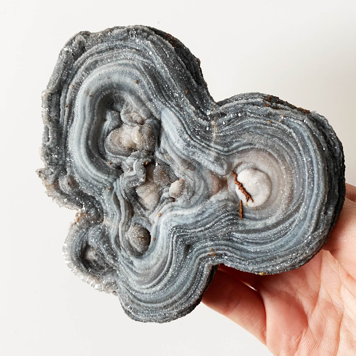 flor de calcedonia grande