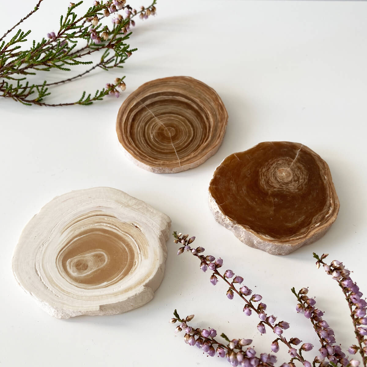 placa de aragonito veteado