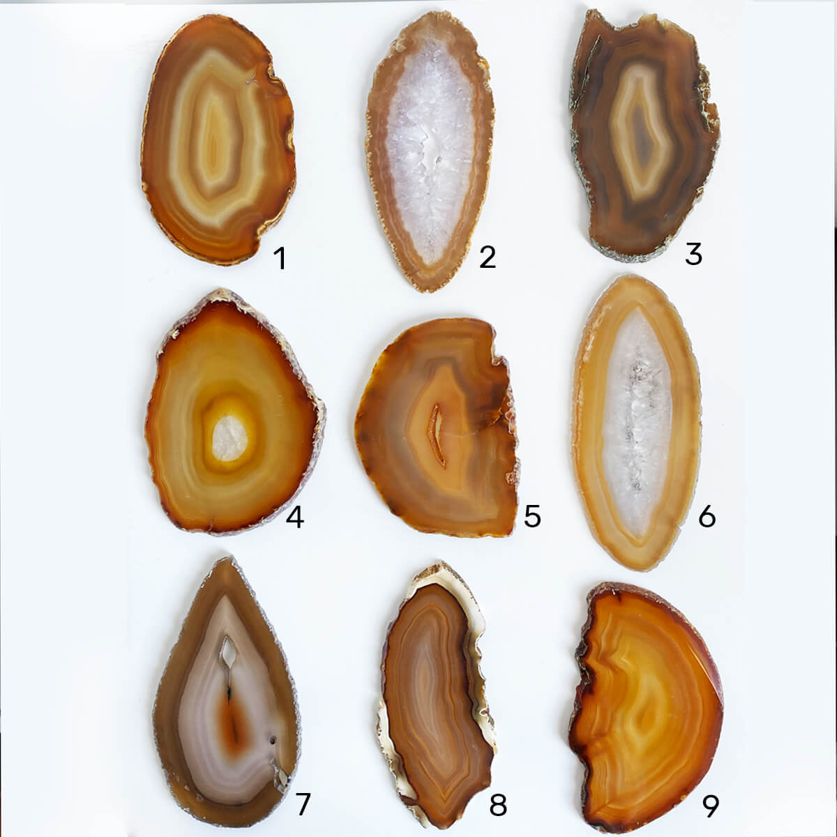 ágatas de corte medianas 1