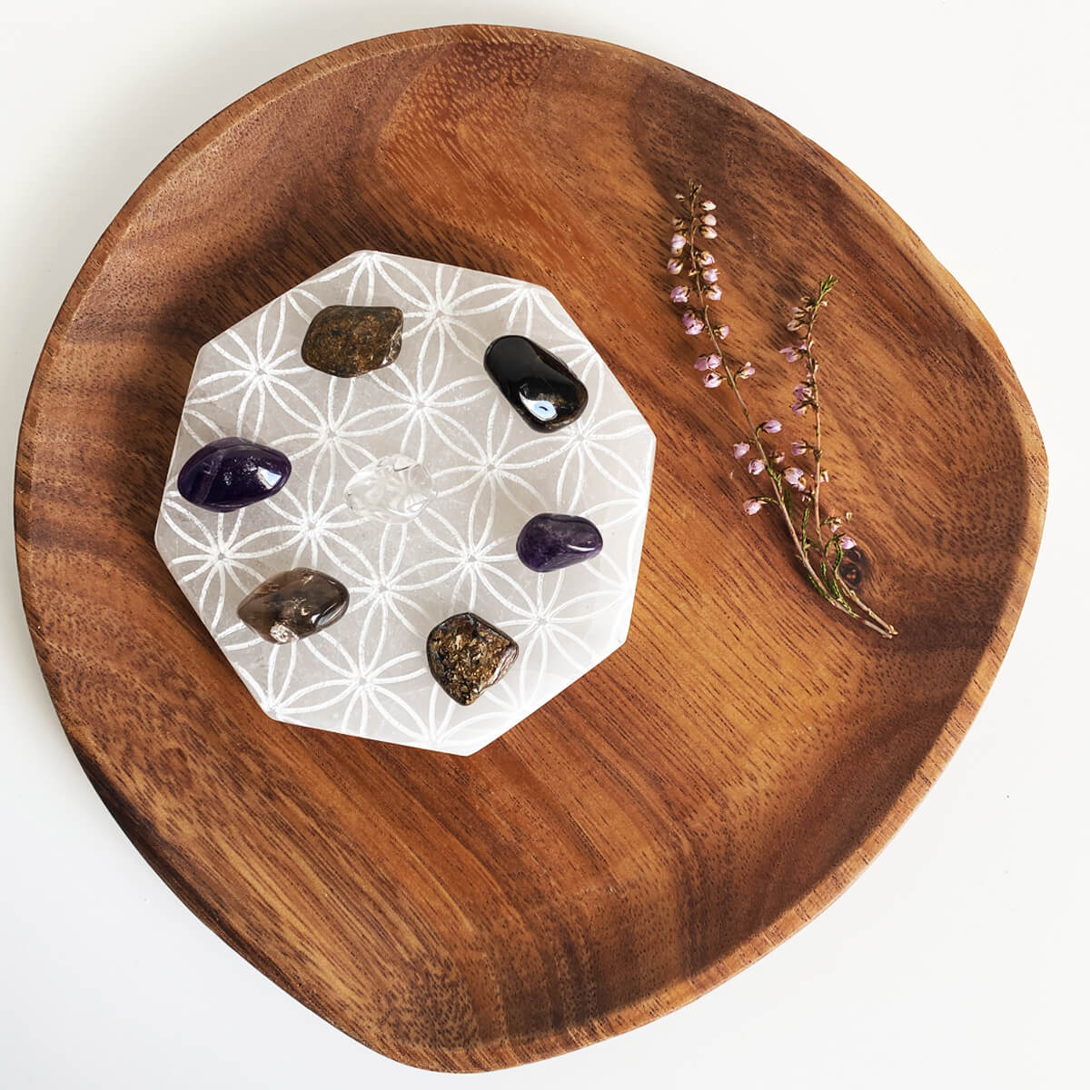 rejilla resolución de conflictos