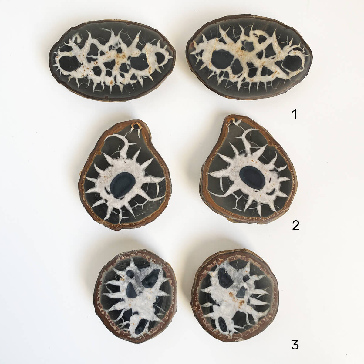 septarias pequeñas1 3