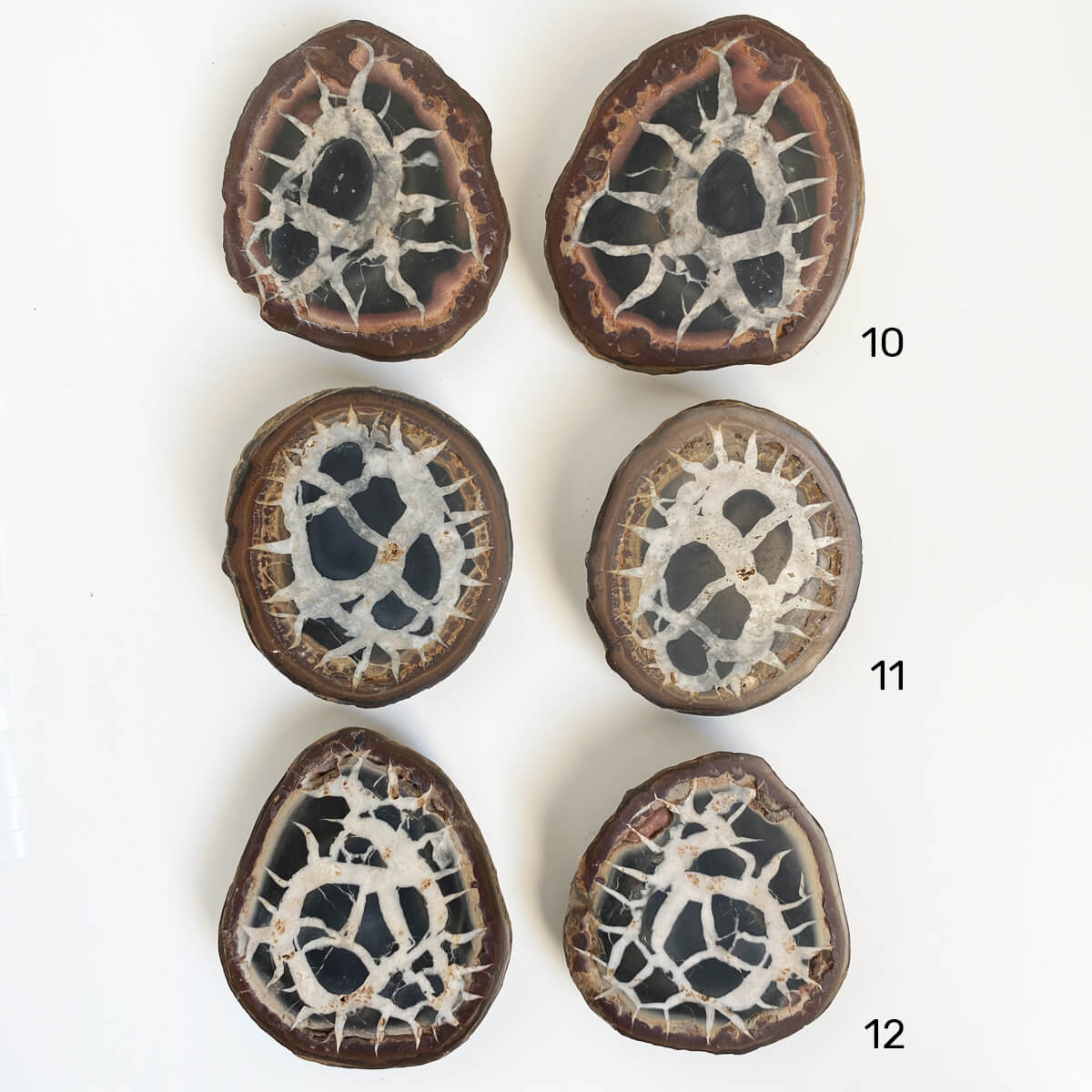 septarias-pequeñas10-12