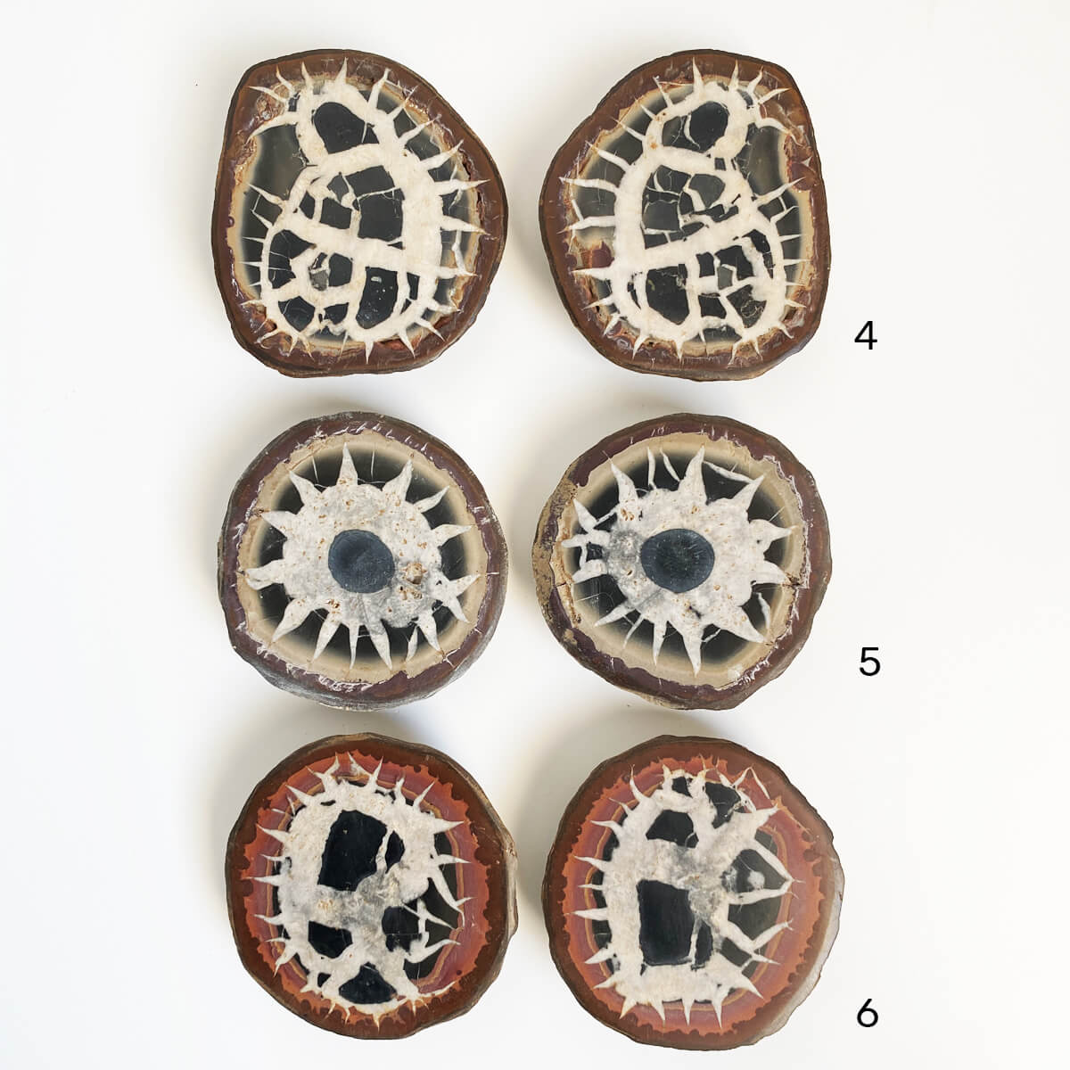 septarias-pequeñas4-6