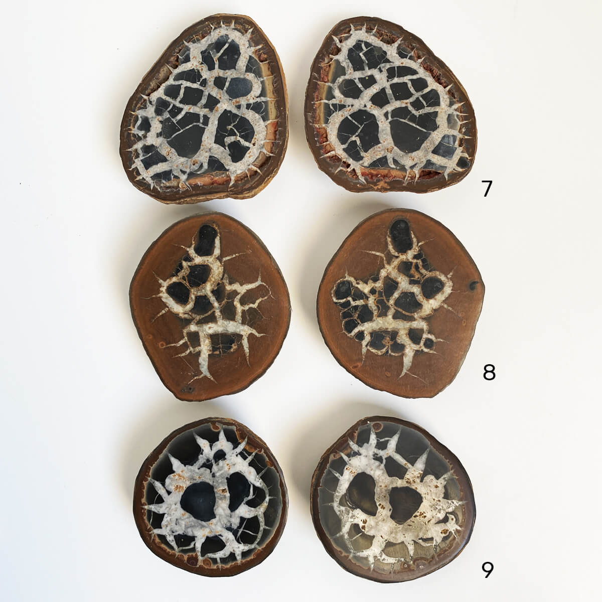 septarias-pequeñas7-9