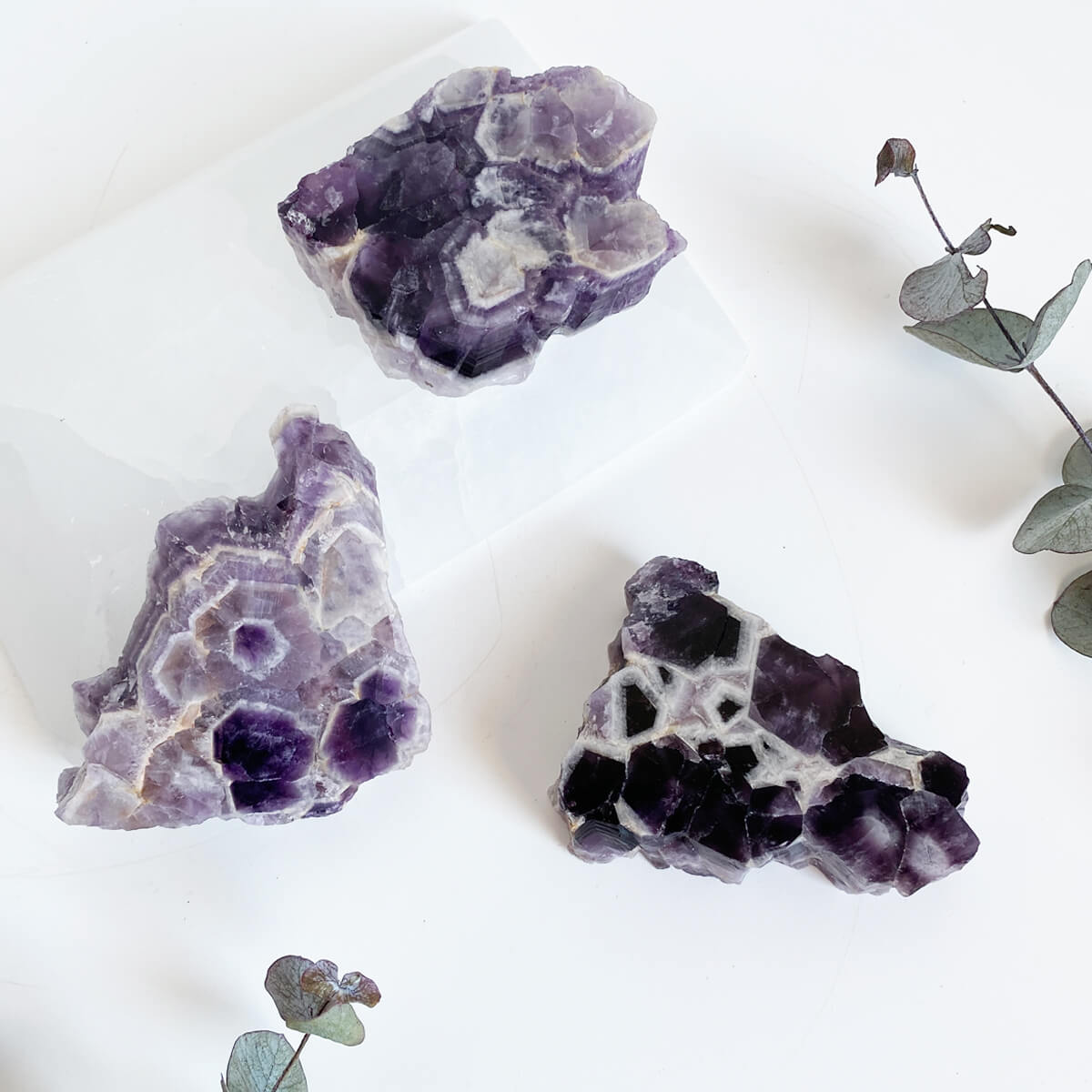 Placa de amatista chevron