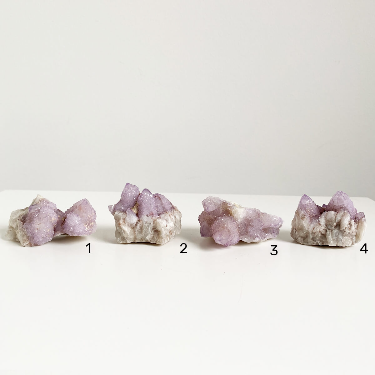 amatista-cactus-peq-2