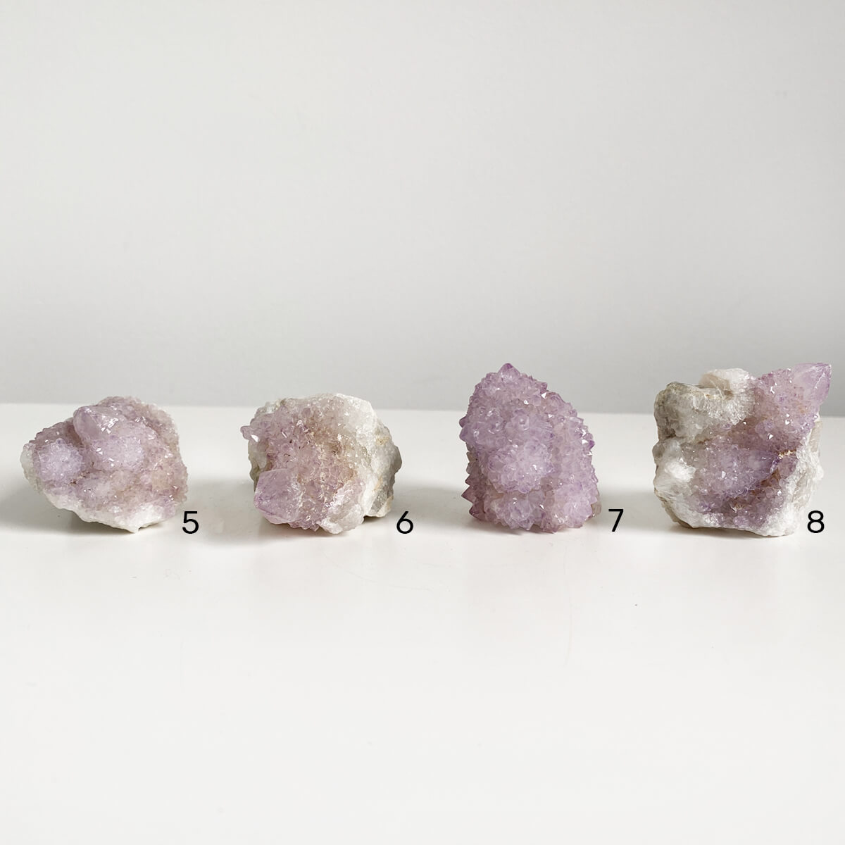 amatista-cactus-peq-3