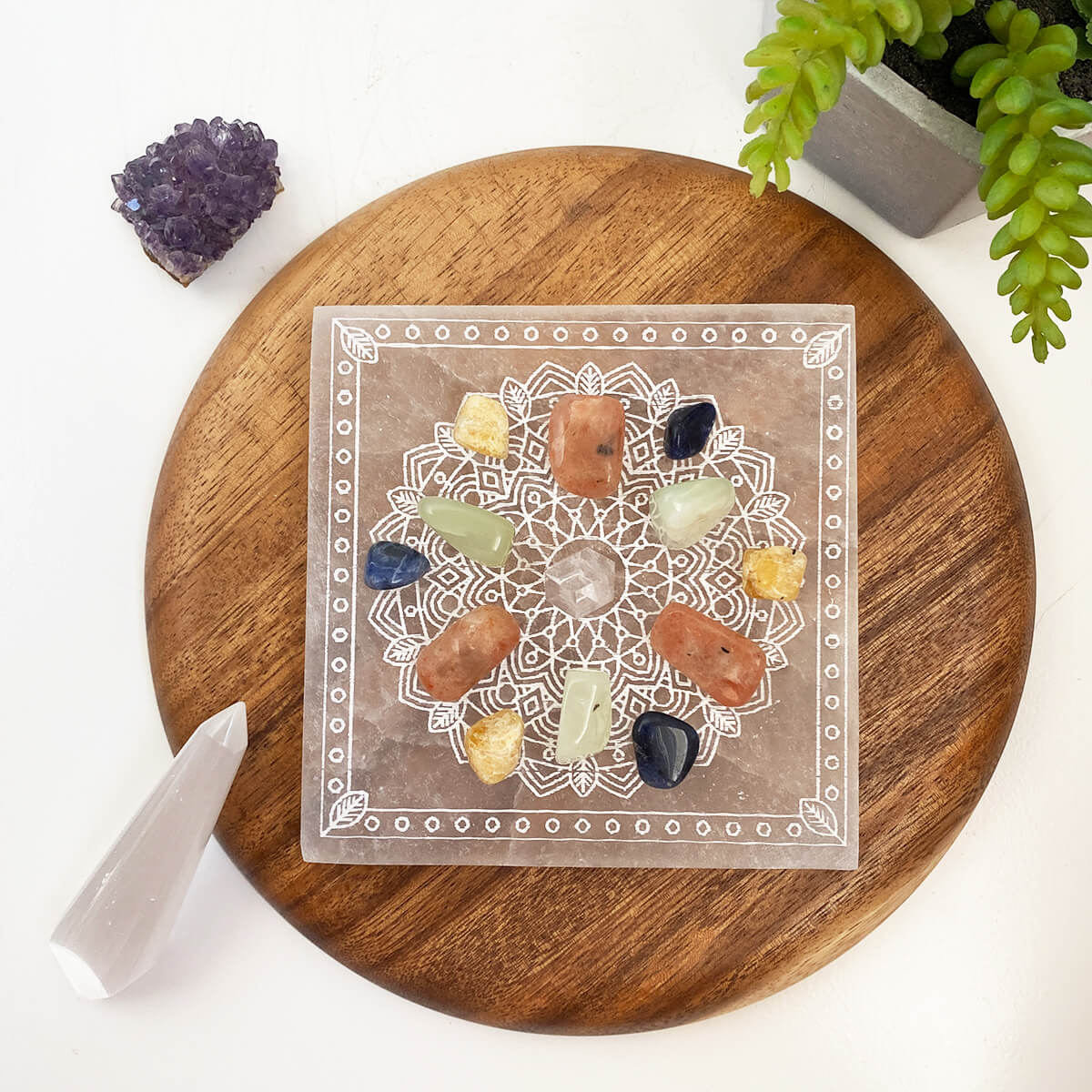 rejilla mandala carrera profesional