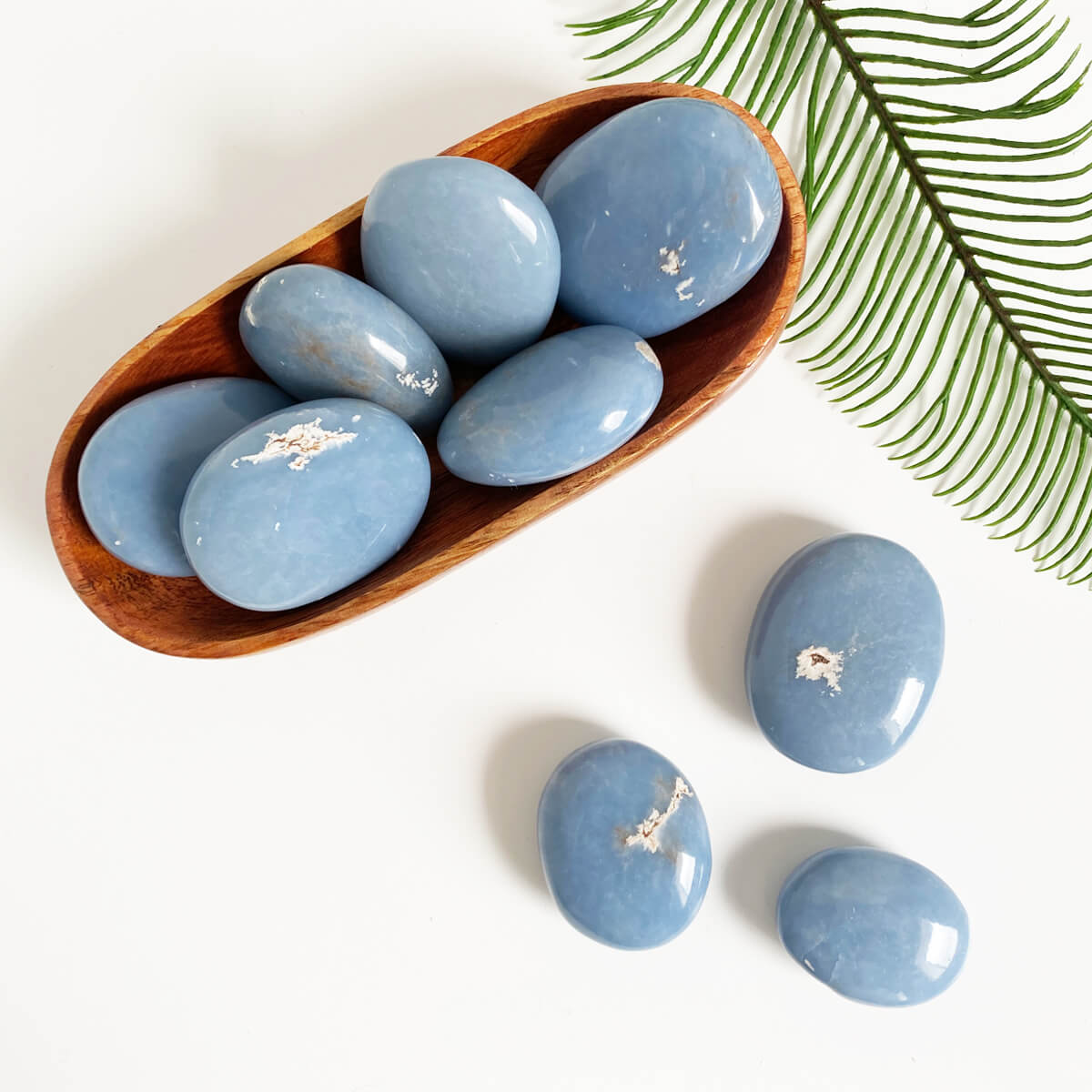 rodado de angelita grande