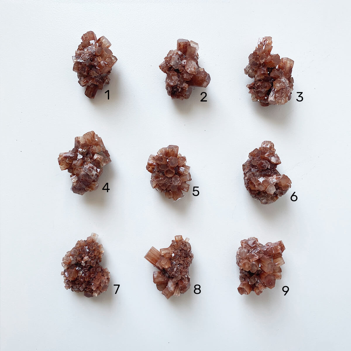 aragonitos estrellados medianos