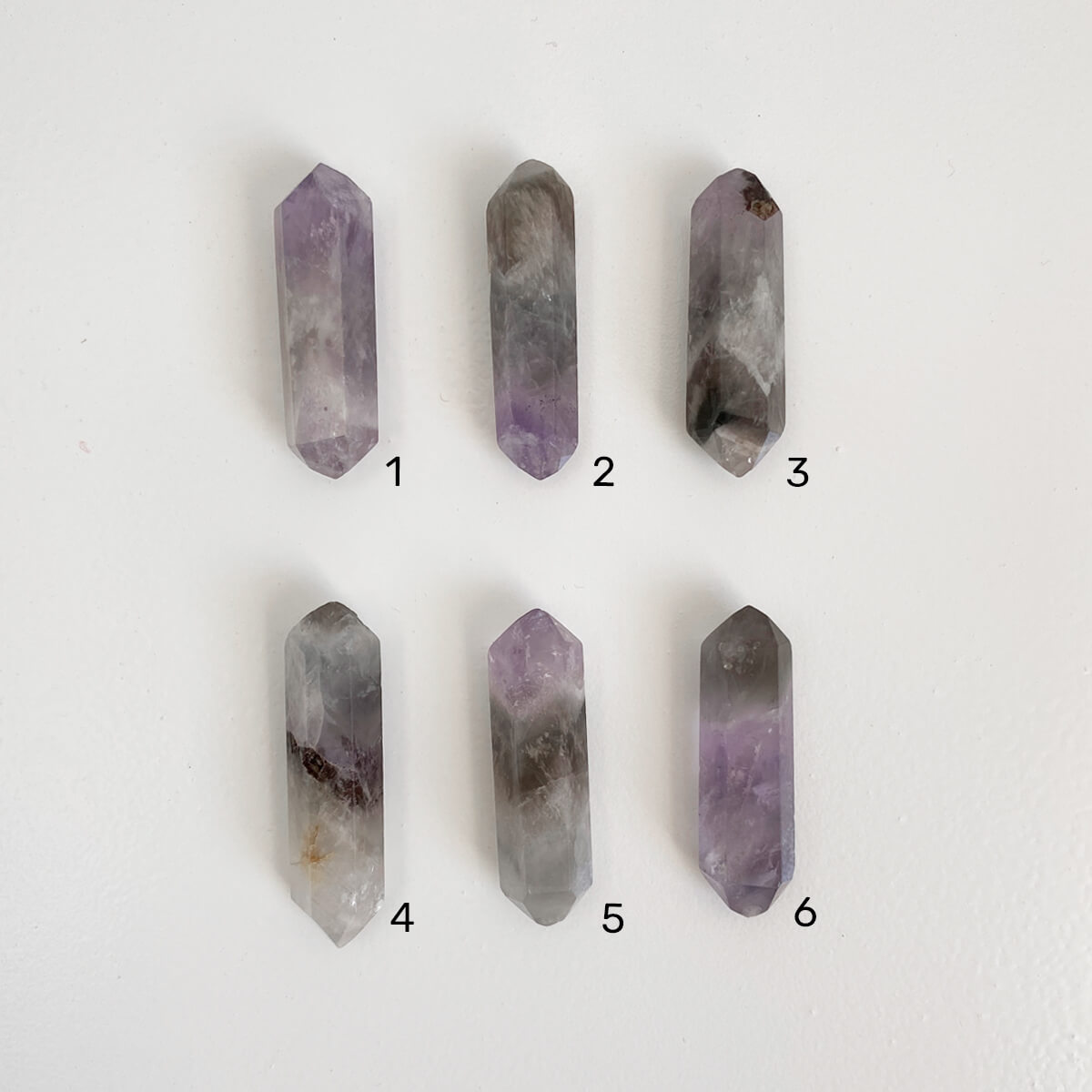 biterminado-prasiotrino-1