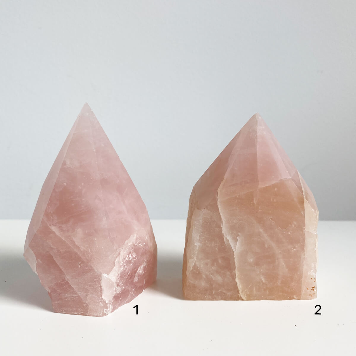 punta-semi-czo-rosa-1