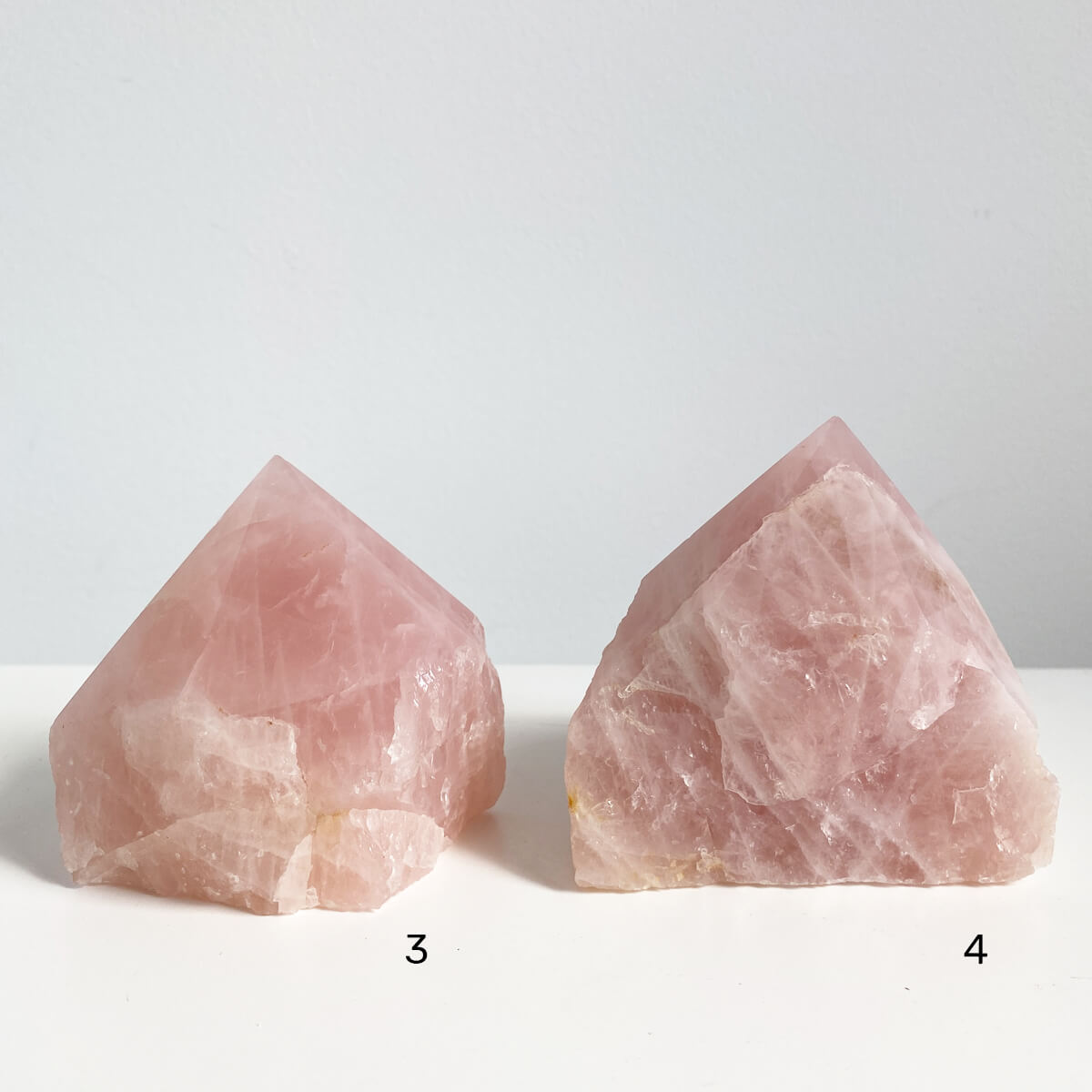 punta-semi-czo-rosa-2