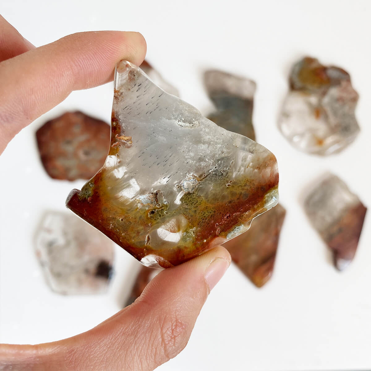 placa de anfíbol mediana