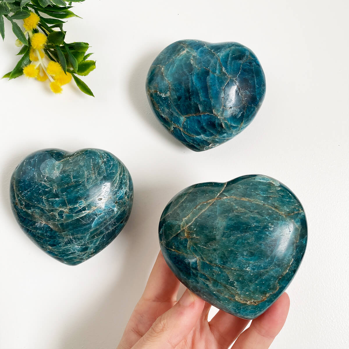 corazón de apatito mano