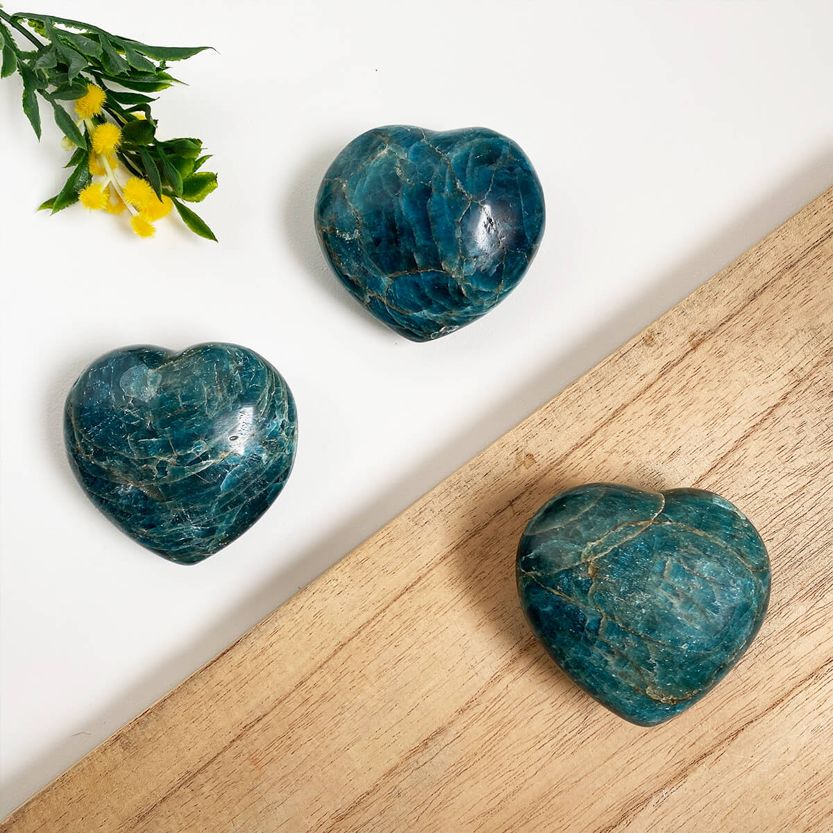 corazón de apatito