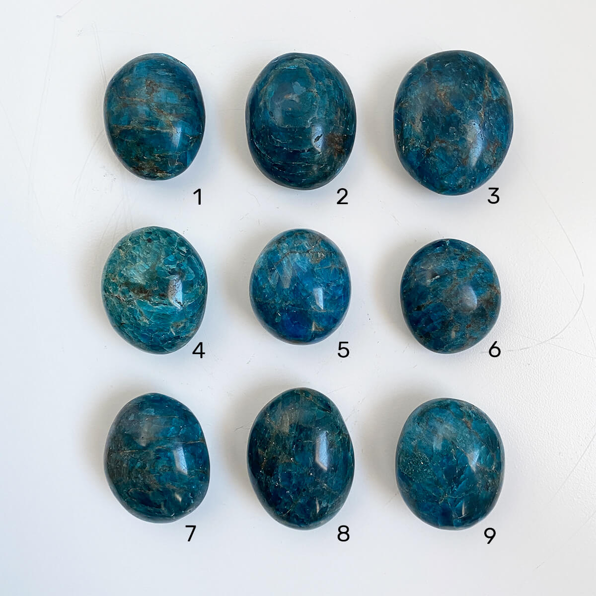 rodado-apatito-grande1