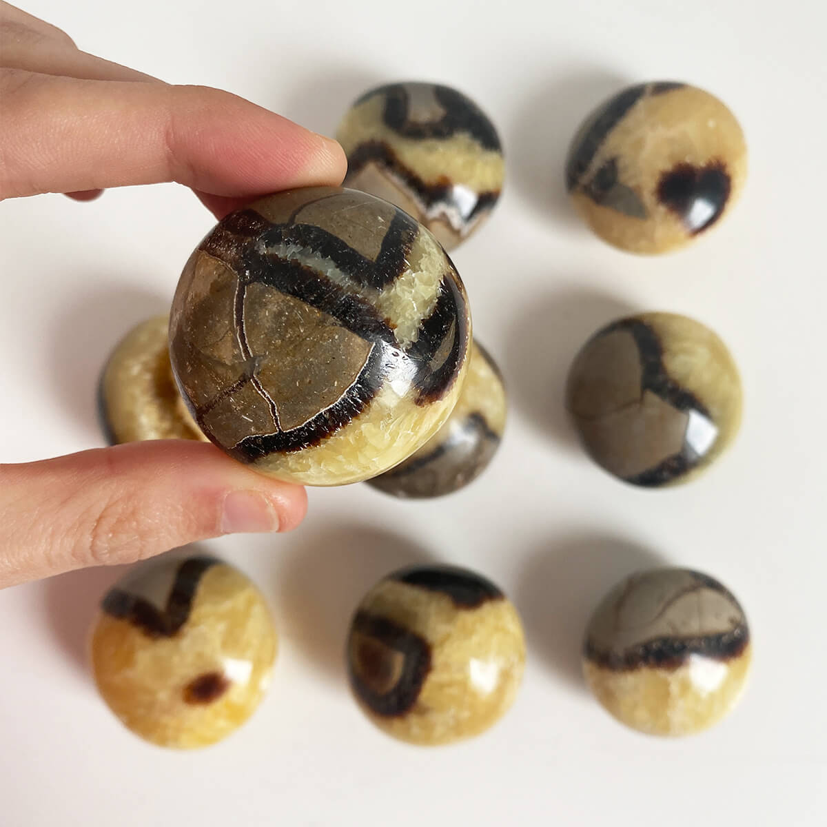 rodado de septaria con calcita