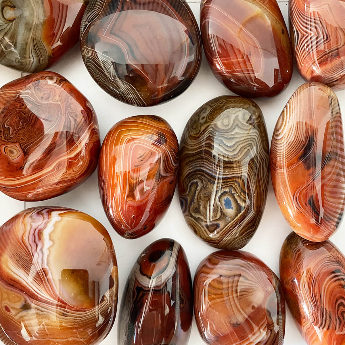 rodado sardonix mediano3