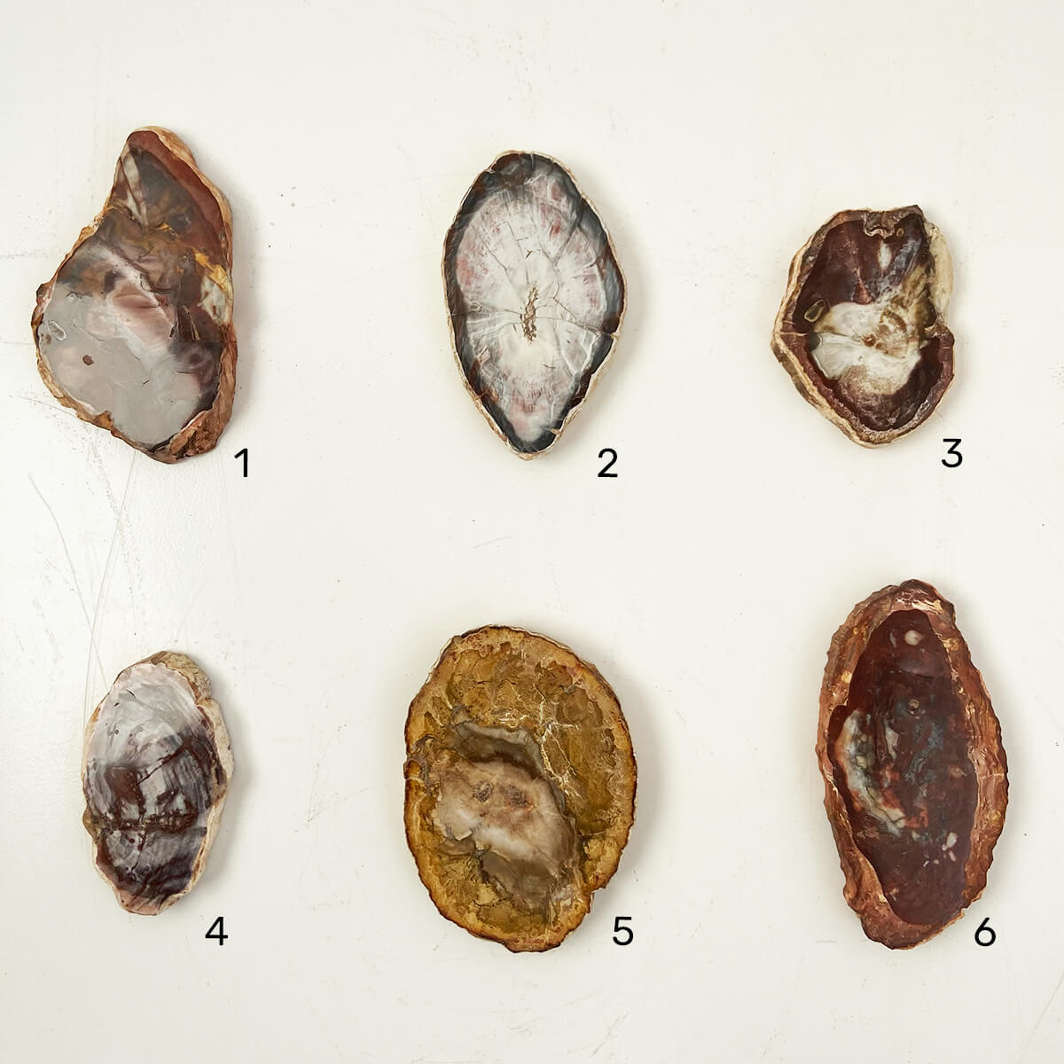 placa-xilopalo-PEQ-1