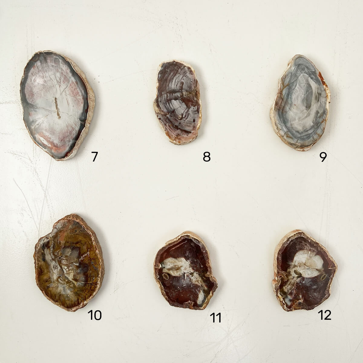 placa-xilopalo-PEQ-2