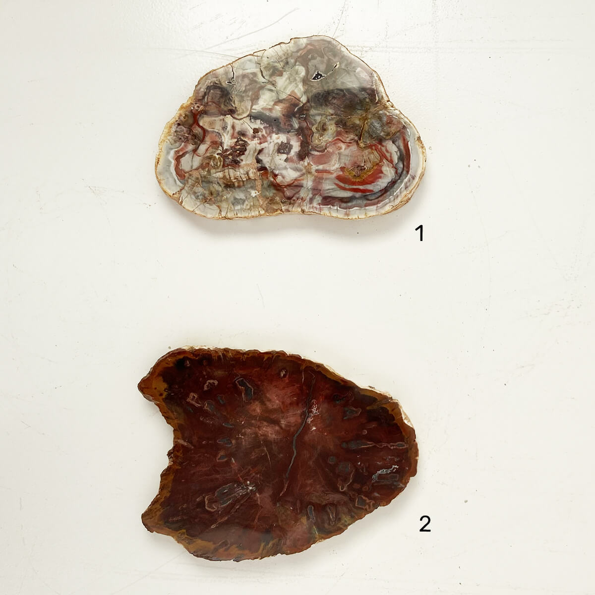 placa-xilopalo-med-1