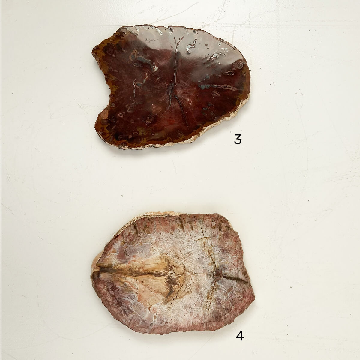 placa-xilopalo-med-2