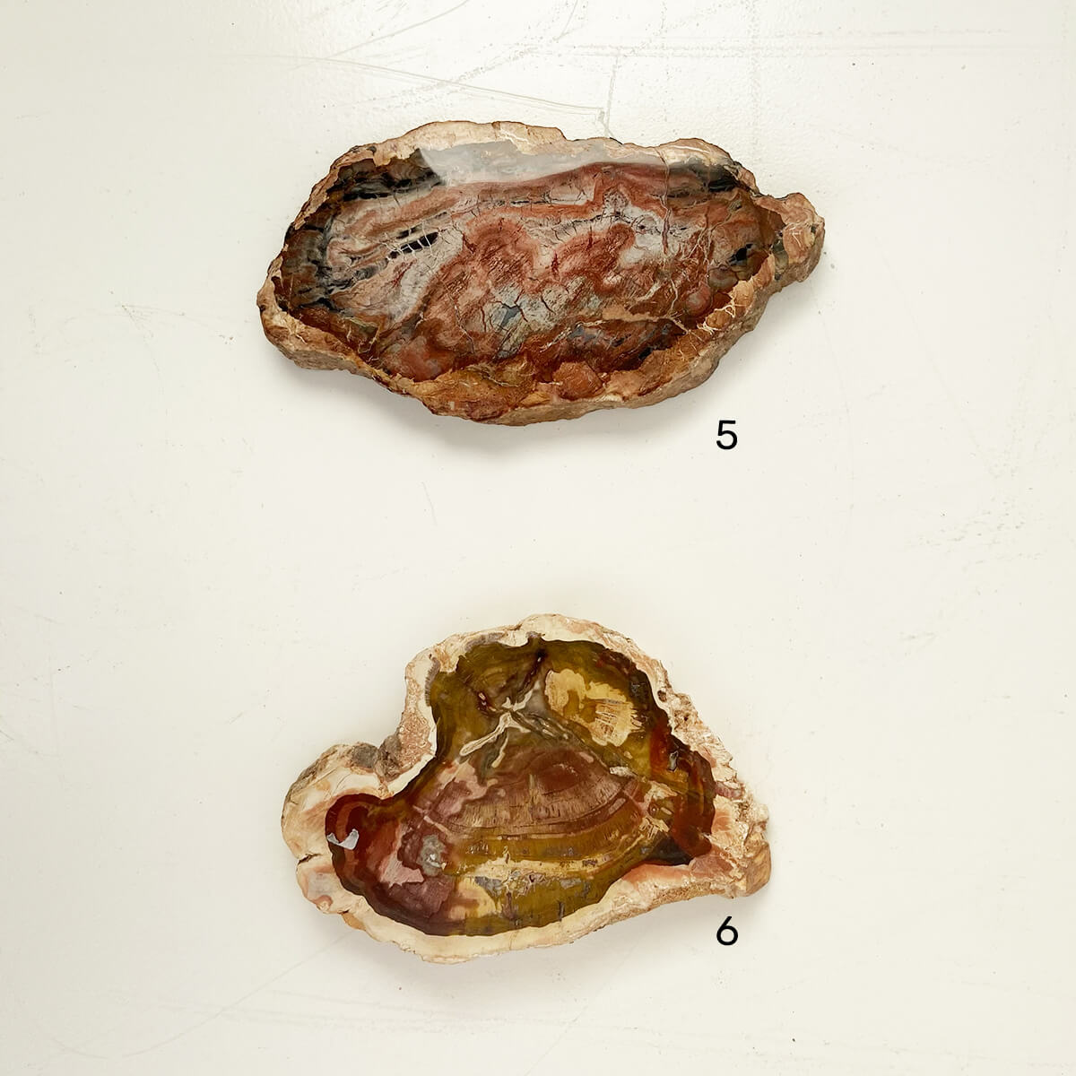 placa-xilopalo-med-3