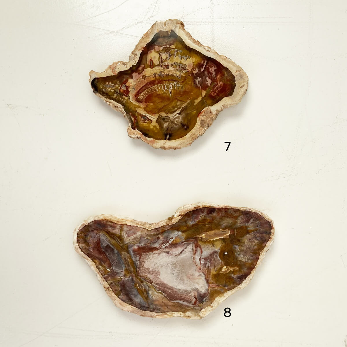 placa-xilopalo-med-4