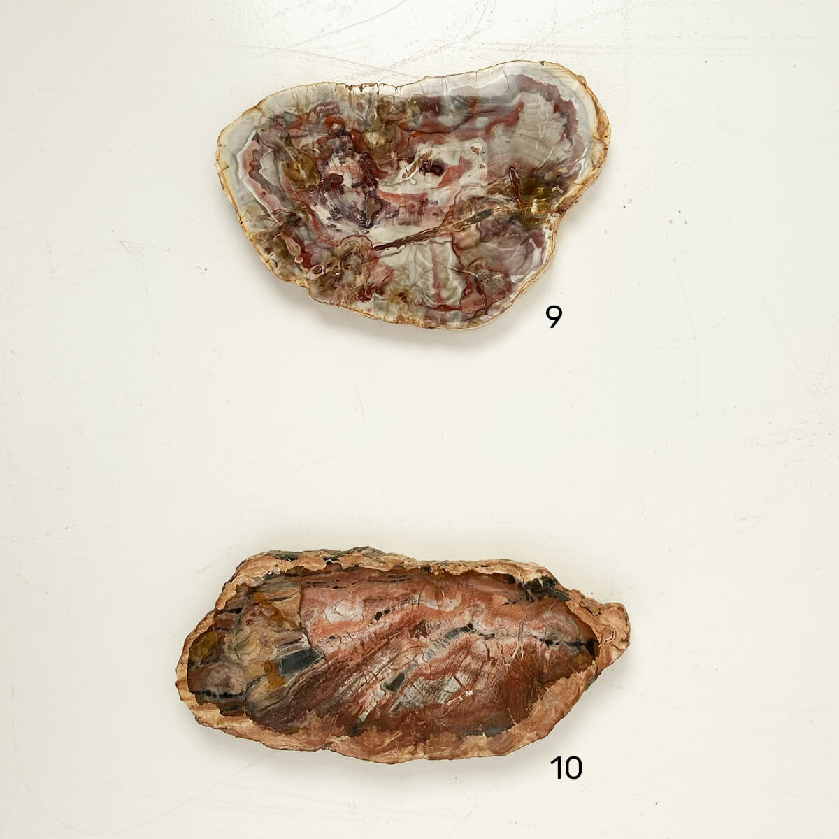 placa-xilopalo-med-5