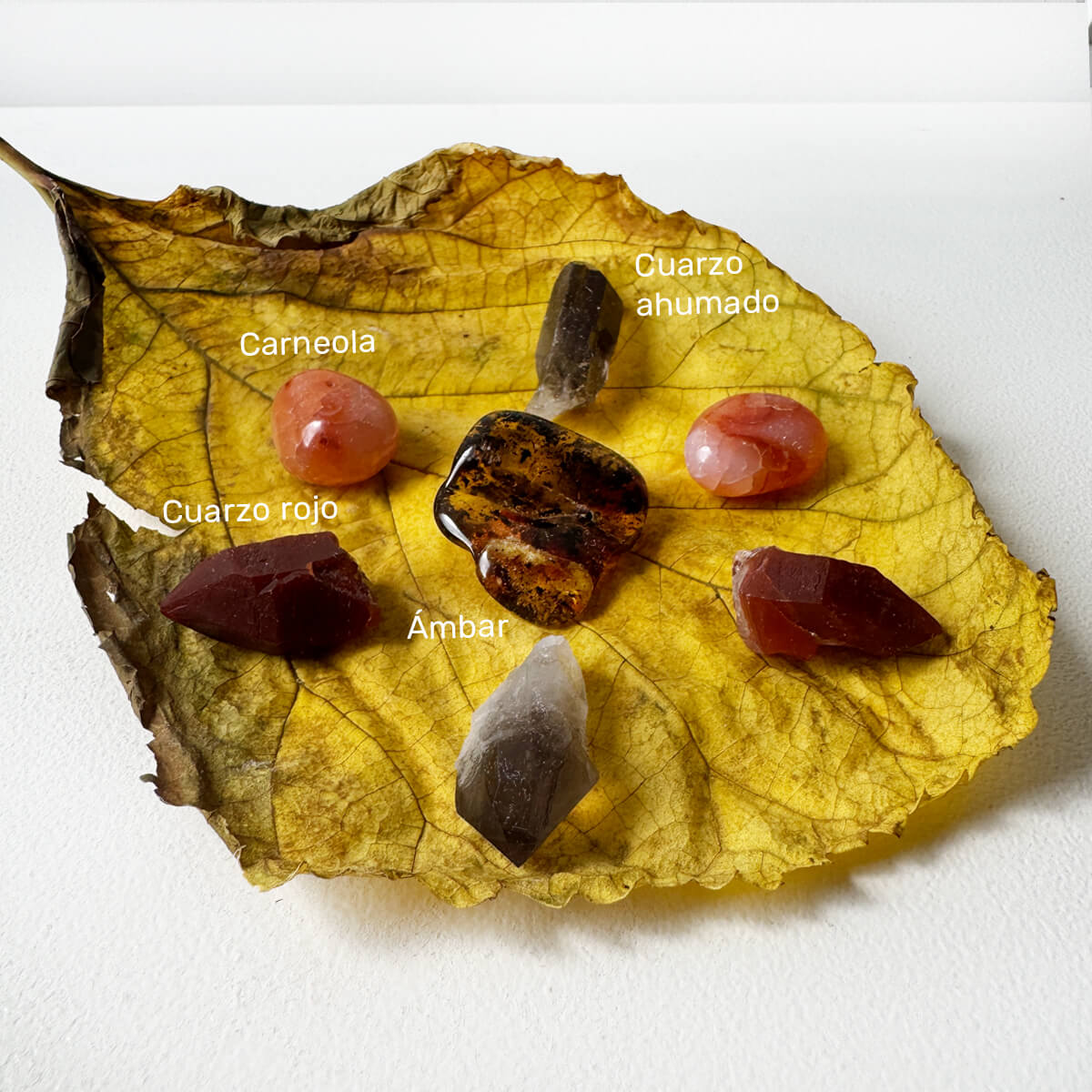 minerales para el otoño 4