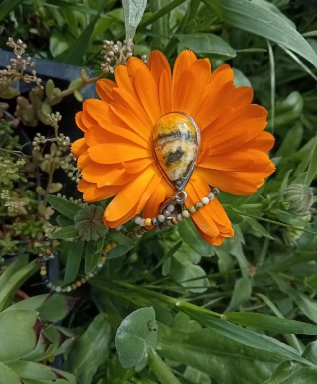🐝✨ Jaspe Abejorro: la energía que impulsa y llena de alegría.

Como el abejorro que, pequeño pero fuerte, se posa sobre la flor para llevar vida y energía, este mineral nos recuerda que la fuerza y la alegría pueden venir en formas delicadas.
El jaspe abejorro potencia la vitalidad, la concentración y la alegría, ayudándote a superar obstáculos con equilibrio y determinación.

Este colgante, inspirado en la naturaleza, es un amuleto para avanzar con valentía y armonía en el flujo constante de la vida.

¿Con qué energía te gustaría llenar tu día hoy?

Gracias L por tan bonita foto 🫶🏻
#marynelis #jaspeabejorro #joyasconalma #mineralesnaturales #hechoamano #energíacristalina #amuleto #alegría #vitalidad #conexiónconlanaturaleza #joyeríaartesanal